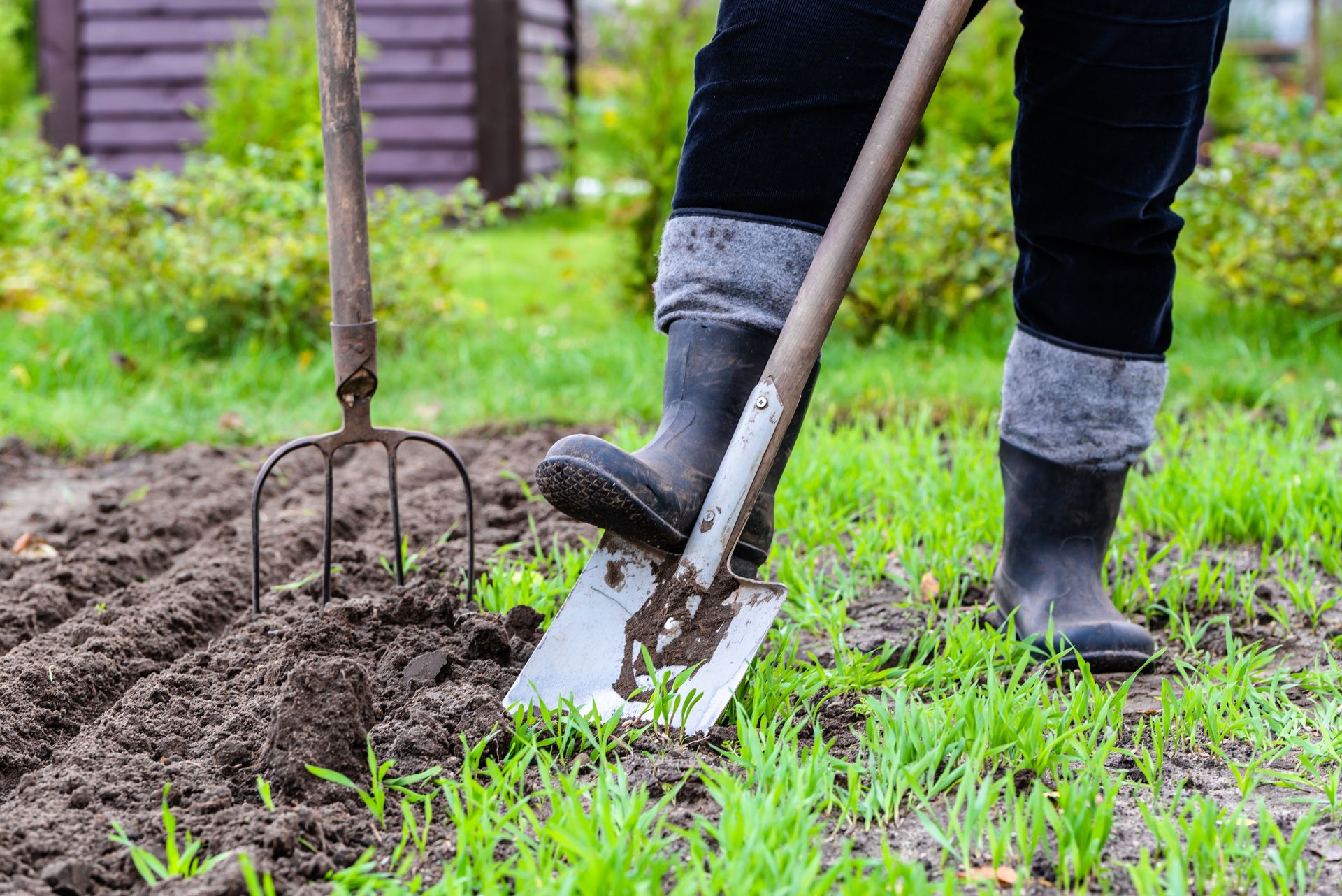 Jardinier Creuser Le Sol Au Printemps Avec Une Pelle Pour Faire Le