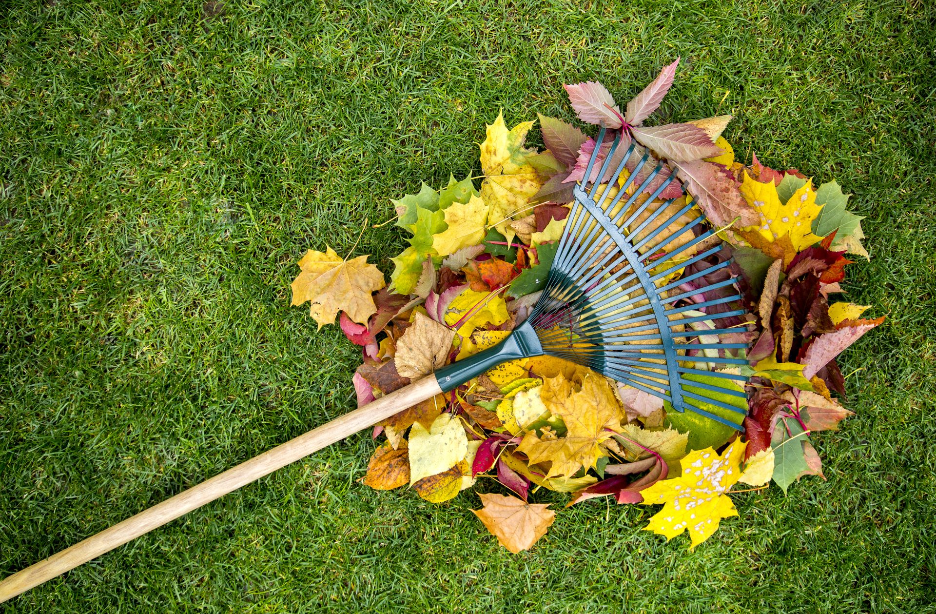 Le ramassage mécanisé des feuilles mortes